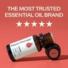 image:imagePlant Therapy Vetiver Essential Oil 10 mL 13 oz Pure amp UndilutedVetiver