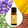 image:imagePlant Therapy Worry Free Essential Oil Blend 10 mL 13 oz Calming Relief Blend 100 Pure and Undiluted Natural Aromatherapy for Diffusers and DIYsWorry Free