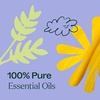 image:imagePlant Therapy Worry Free Essential Oil Blend 10 mL 13 oz Calming Relief Blend 100 Pure and Undiluted Natural Aromatherapy for Diffusers and DIYsWorry Free