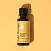 image:imagePlant Therapy Worry Free Essential Oil Blend 10 mL 13 oz Calming Relief Blend 100 Pure and Undiluted Natural Aromatherapy for Diffusers and DIYsWorry Free