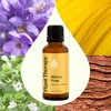 image:imagePlant Therapy Worry Free Essential Oil Blend 10 mL 13 oz Calming Relief Blend 100 Pure and Undiluted Natural Aromatherapy for Diffusers and DIYsWorry Free