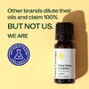 image:imagePlant Therapy Ylang Ylang Complete Essential Oil 10 mL 13 oz033 Fl Oz Pack of 1