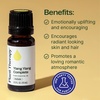 image:imagePlant Therapy Ylang Ylang Complete Essential Oil 10 mL 13 oz033 Fl Oz Pack of 1