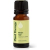 image:imagePlant Therapy Brain Aid Essential Oil Blend 10 mL 13 oz 100 Pure amp Undiluted Aromatherapy for Focus Concentration amp Mental Clarity033 Fl Oz Pack of 1