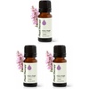 image:imagePlant Therapy Clary Sage Essential Oil 10 mL 13 oz 100 Pure Undiluted034 Fl Oz Pack of 3