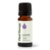 image:imagePlant Therapy Lavandin Essential Oil 10 mL 13 oz 100 Pure and Undiluted Aromatherapy for Balance amp Calm033 Fl Oz Pack of 1