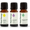 image:imagePlant Therapy Lemon Lavender amp Peppermint Essential Oil Set 10 mL 13 ozLemon Lavender