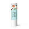 image:imagePlant Therapy Maple Glaze Natural Lip Balm 05 oz Sweet Maple Glaze FlavorCoconut Lychee