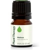 image:imagePlant Therapy Melissa Essential Oil 25 mL 112 oz 100 Pure Undiluted Essential Oil Encourages Healthy RadiantLooking SkinMelissa