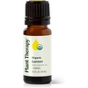 image:imagePlant Therapy Organic Lemon Essential Oil 10 mL 13 oz Pure Undiluted033 Fl Oz Pack of 1
