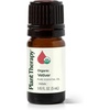image:imagePlant Therapy Organic Vetiver Essential Oil 5 mL 16 oz Pure Undiluted Essential Oil Great for Meditation and DIY Natural Skin CareVetiver
