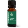 image:imagePlant Therapy Tension Relief Essential Oil Blend 30 mL 1 oz 100 Pure Undiluted Tension Headache Relief033 Fl Oz Pack of 1