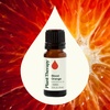 image:imagePlant Therapy Blood Orange Essential Oil 30 mL 1 oz Pure Orange Oil034 Fl Oz Pack of 1