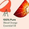 image:imagePlant Therapy Blood Orange Essential Oil 30 mL 1 oz Pure Orange Oil034 Fl Oz Pack of 1