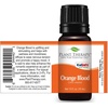 image:imagePlant Therapy Blood Orange Essential Oil 30 mL 1 oz Pure Orange Oil13 Ounce Pack of 12