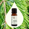 image:imagePlant Therapy Himalayan Cedarwood Essential Oil 10 mL 13 oz 100 Pure Undiluted Refreshing Aromatherapy for Mental Focus and ClearCedarwood