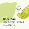 image:imagePlant Therapy Lime Steam Distilled Essential Oil 10 mL 13 oz 100 Pure Undiluted Fresh Scent Mood Boosting Immune SupportLime Steam Distilled