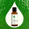 image:imagePlant Therapy Lime Steam Distilled Essential Oil 10 mL 13 oz 100 Pure Undiluted Fresh Scent Mood Boosting Immune SupportLime Steam Distilled