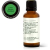 image:imagePlant Therapy Lime Steam Distilled Essential Oil 10 mL 13 oz 100 Pure Undiluted Fresh Scent Mood Boosting Immune SupportLime Steam Distilled