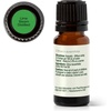 image:imagePlant Therapy Lime Steam Distilled Essential Oil 10 mL 13 oz 100 Pure Undiluted Fresh Scent Mood Boosting Immune SupportLime Steam Distilled