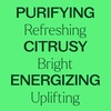 image:imagePlant Therapy Lime Steam Distilled Essential Oil 10 mL 13 oz 100 Pure Undiluted Fresh Scent Mood Boosting Immune SupportLime Steam Distilled