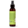 image:imagePlant Therapy Nature Shield Spray 4 oz DEETFree Outdoor Essential4 Fl Oz Pack of 1