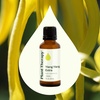 image:imagePlant Therapy Ylang Ylang Extra Essential Oil 30 mL 1 oz 100 Pure Undiluted Stress Relief Mood BoostingYlang Ylang Extra