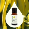image:imagePlant Therapy Ylang Ylang Extra Essential Oil 30 mL 1 oz 100 Pure Undiluted Stress Relief Mood BoostingYlang Ylang Extra