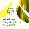 image:imagePlant Therapy Ylang Ylang Extra Essential Oil 30 mL 1 oz 100 Pure Undiluted Stress Relief Mood BoostingYlang Ylang Extra