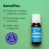 image:imagePlant Therapy KidSafe Calming The Child Essential Oil Blend 10 mL 13 oz amp KidSafe Sniffle Stopper Essential Oil Blend 10 mL 13 oz