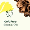 image:imagePlant Therapy Germ Fighter Essential Oil Blend 100 mL 33 oz Pure