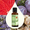 image:imagePlant Therapy Germ Fighter Blend All Natural MultiSurface Cleaner Concentrate 30 mL 2Pack amp Defender Blend All Natural MultiSurface Cleaner Concentrate Use to Clean Countertops 30 mL 2Pack