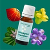 image:imagePlant Therapy Kids Shampoo Booster Essential Oil Blend 10 mL 13 oz Naturally Cleanse Buildup Soften amp Strengthen Hair