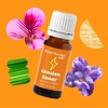 image:imagePlant Therapy Kids Tension Tamer Essential Oil Blend 10 mL 13 oz 100 Pure Undiluted Tension Headache Relief for Head and Neck