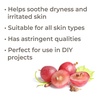 image:imagePlant Therapy Grapeseed Carrier Oil 1 Gallon Base Oil for Aromatherapy Essential Oil or Massage Use
