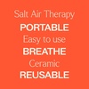 image:imagePlant Therapy Pink Himalayan Salt Inhaler