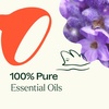 image:imagePlant Theapy Sensual Essential Oil Blend 10 mL 13 oz 100 Pure Undiluted Natural Aromatherapy for Couples Romantic Massage Desire
