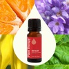 image:imagePlant Theapy Sensual Essential Oil Blend 10 mL 13 oz 100 Pure Undiluted Natural Aromatherapy for Couples Romantic Massage Desire