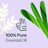 image:imagePlant Therapy Anti Age Essential Oil Blend 5 mL 16 oz 100 Pure Undiluted Therapeutic Grade