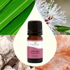 image:imagePlant Therapy Anti Age Essential Oil Blend 5 mL 16 oz 100 Pure Undiluted Therapeutic Grade