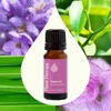image:imagePlant Therapy Balance Essential Oil Blend 10 mL 13 oz 100 Pure Undiluted for Womens Health and Emotional Support