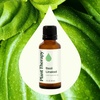 image:imagePlant Therapy Basil Linalool Essential Oil 30 mL 1 oz 100 Pure Undiluted Therapeutic Grade