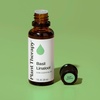image:imagePlant Therapy Basil Linalool Essential Oil 30 mL 1 oz 100 Pure Undiluted Therapeutic Grade