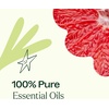 image:imagePlant Therapy Be Confident Essential Oil Blend 10 mL 13 oz 100 Pure Essential Oils Undiluted Great for Diffusing or DIYs Boost Confidence