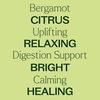 image:imagePlant Therapy Bergamot Essential Oil 100 mL 33 oz 100 Pure Undiluted Uplifting Fresh Sent for Aromatherapy and Clear Skin