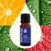 image:imagePlant Therapy Blues Buster Essential Oil Blend 10 mL 13 oz 100 Pure Undiluted Mood Boosting Stress Relief Aromatherapy