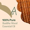 image:imagePlant Therapy Buddha Wood Essential Oil 10 mL 13 oz
