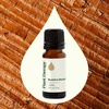 image:imagePlant Therapy Buddha Wood Essential Oil 10 mL 13 oz