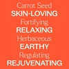 image:imagePlant Therapy Carrot Seed Essential Oil 100 Pure Undiluted Natural Aromatherapy Therapeutic Grade 30 mL 1 oz