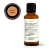 image:imagePlant Therapy Carrot Seed Essential Oil 100 Pure Undiluted Natural Aromatherapy Therapeutic Grade 30 mL 1 oz